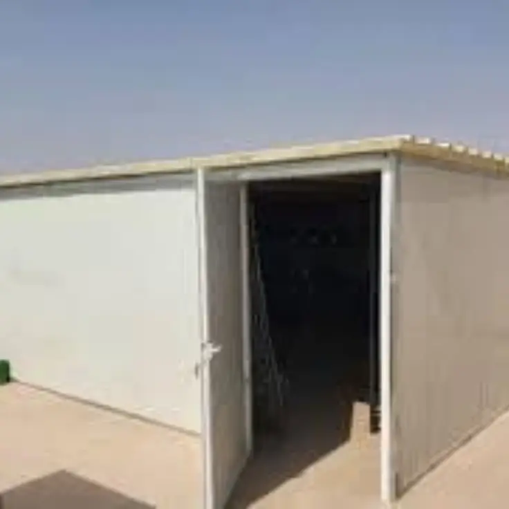 13 20250907 033339 ٠٠١٢